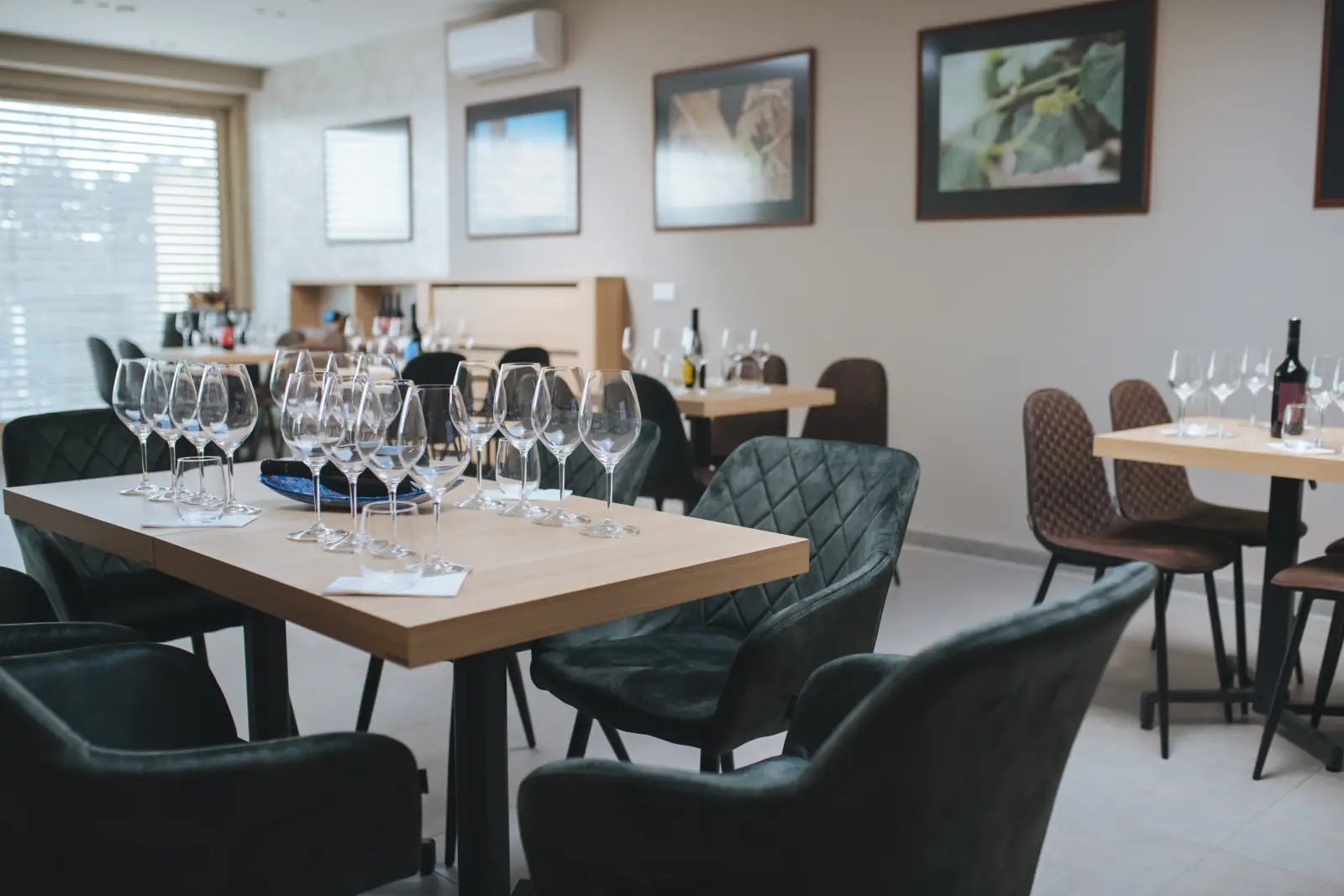 Cellar & Wine Shop — Kistályai út
