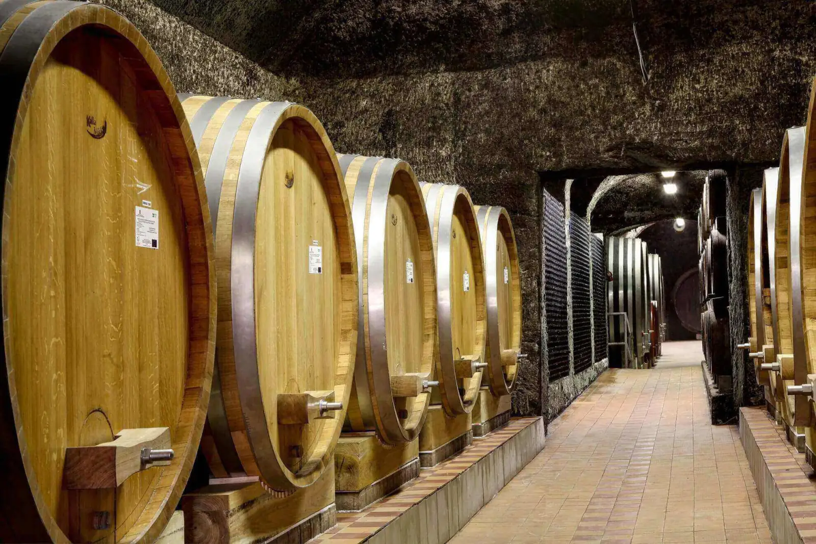 Large-barrel cellar branch