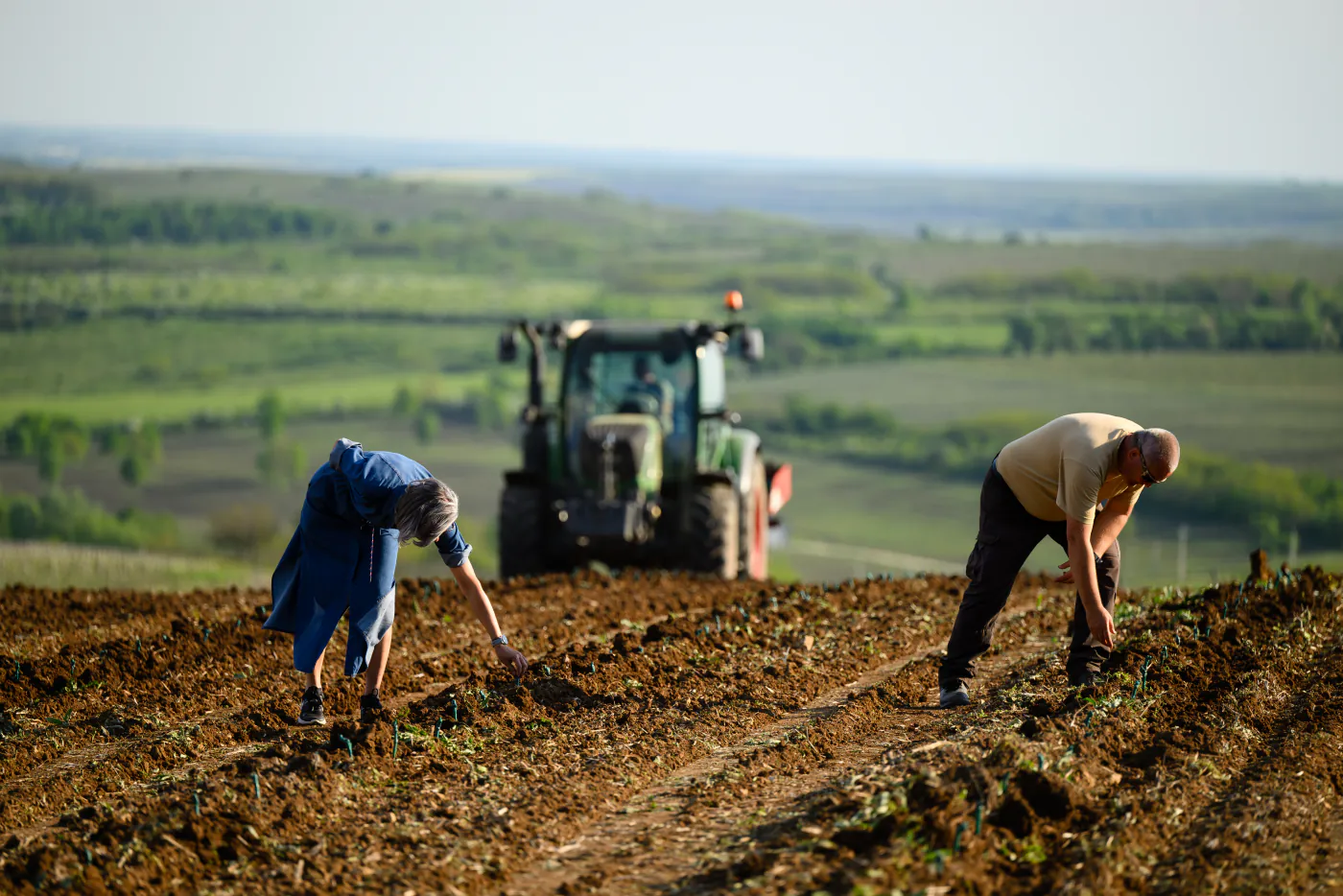 Planting on the family estate