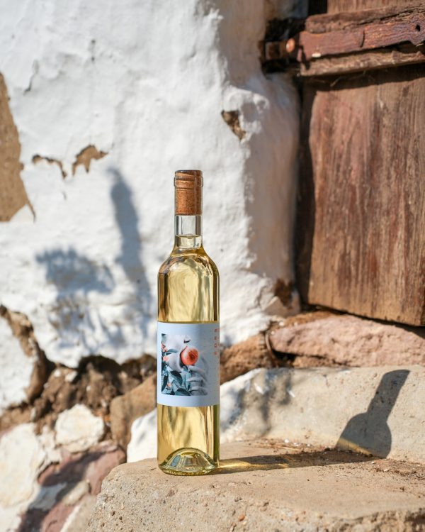 Favourites of Katalin Tóth - Wine Tasting