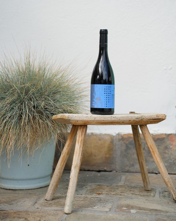 SUPERIOR TASTING WITH 7 WINES
