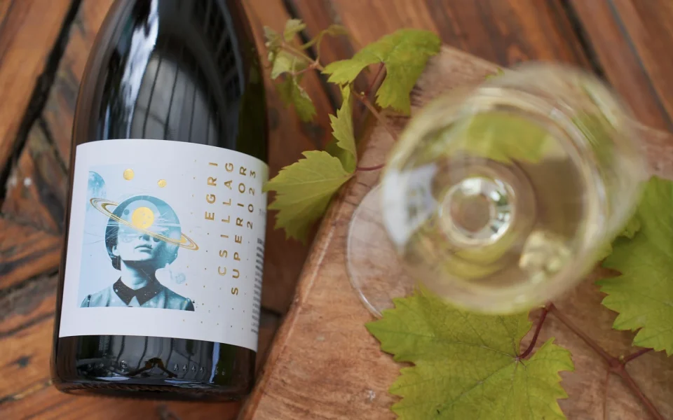 Büszkeség és hála a Berliner Wine Trophy-ról